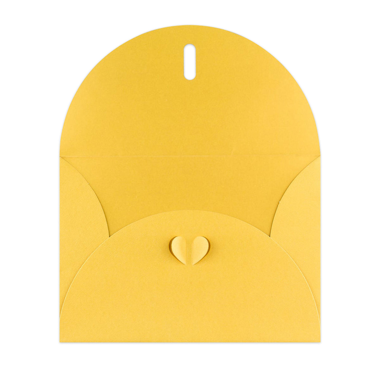 Butterflykonvolutter