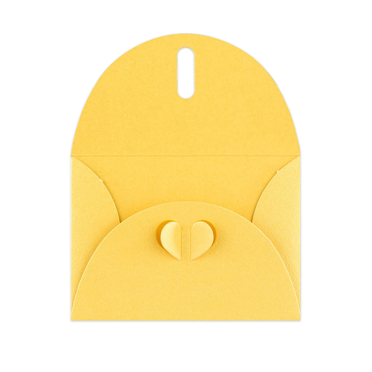 Butterflykonvolutter