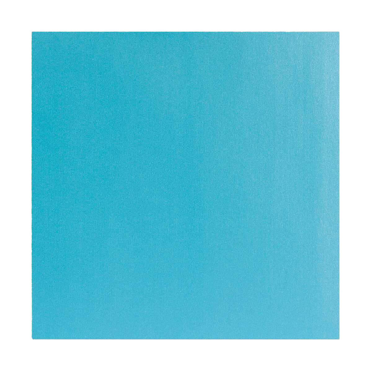 Perlemorskonvolutter