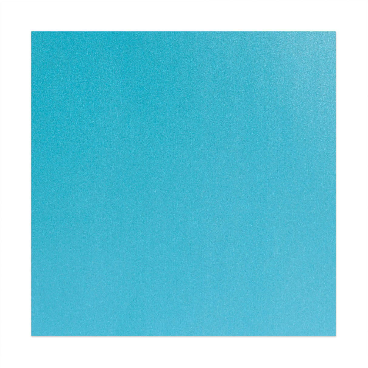 Perlemorskonvolutter