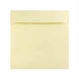 Perlemorskonvolutter