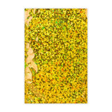 Holografiske folieposer